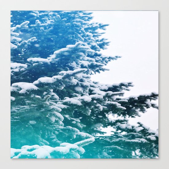 Evergreen Canvas Print