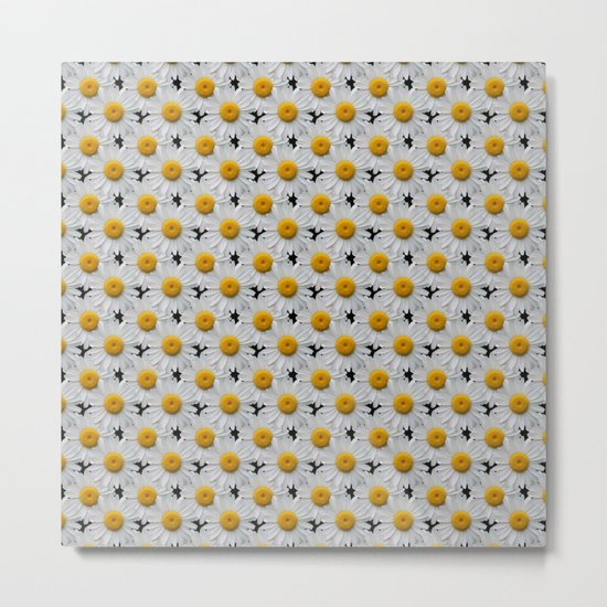DAISY CHAINS Metal Print