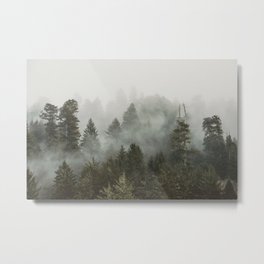 Adventure Times - Nature Photography Metal Print