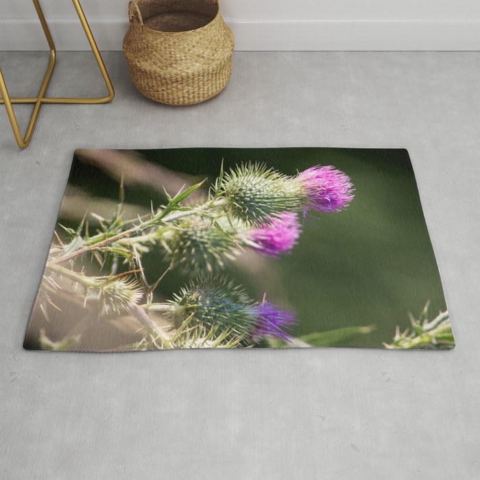 Thistle in the Spring Rug