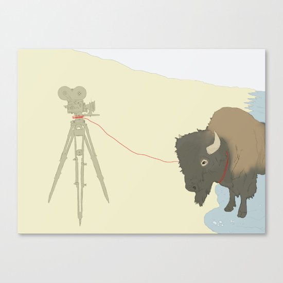 Bison & Camera Canvas Print