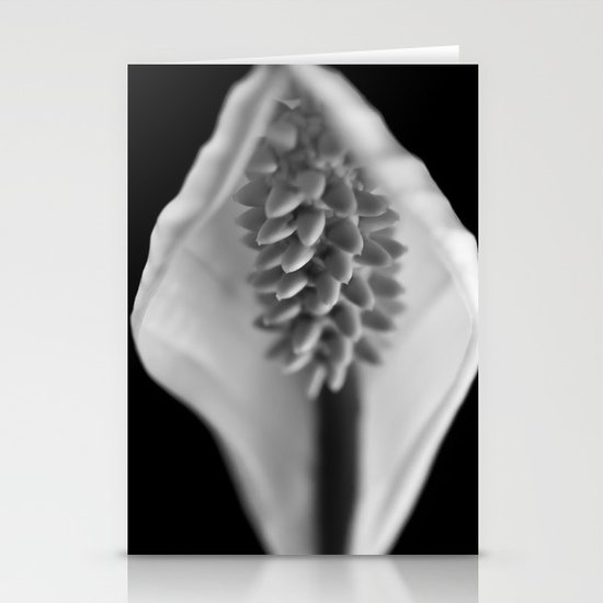 Spathiphyllum wallisii - (Peace Lilly) Stationery Cards