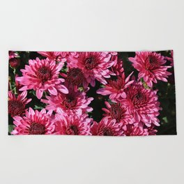 Pink Chrysanthemums Beach Towel