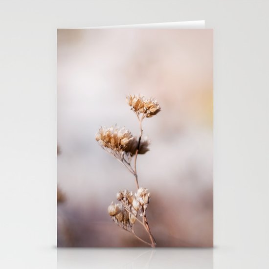In Dreams Stationery Cards
