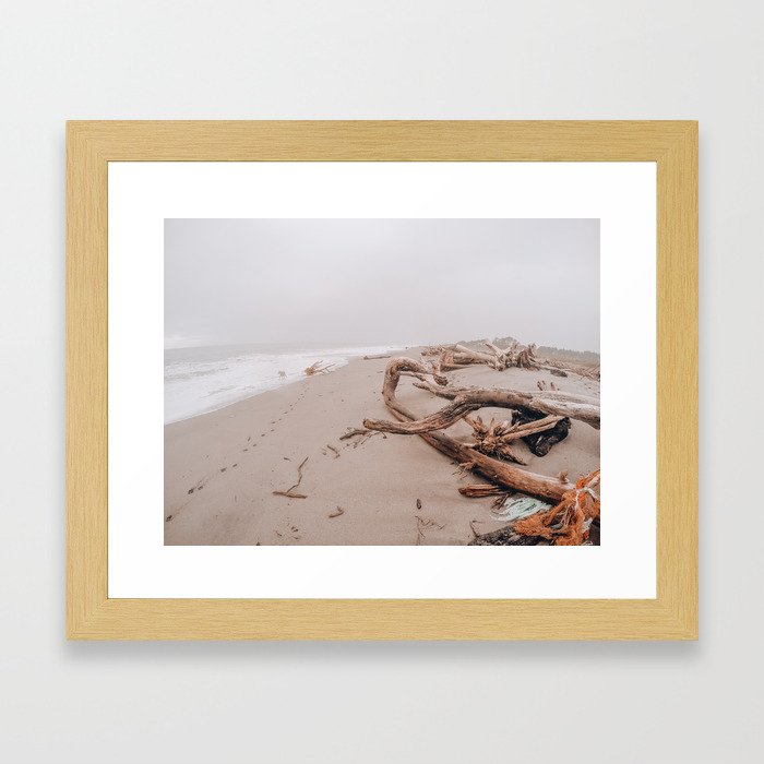 Driftwood On NZ Beach Framed Art Print