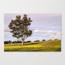 Spring has Arrived Canvas Print