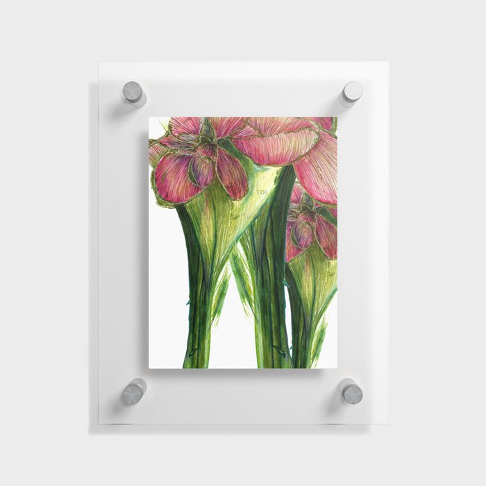 Flowers Green Pink Floating Acrylic Print