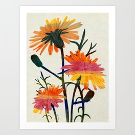 wild  Taraxacum flowers Art Print