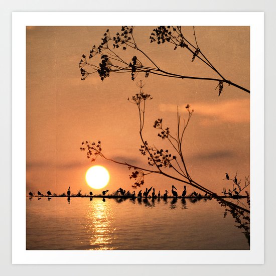 Stillness Art Print