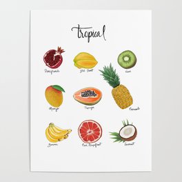 Tropical Fruit  Poster