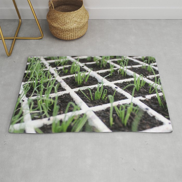 Brazil Photography - Tons Of Planted Chives Rug