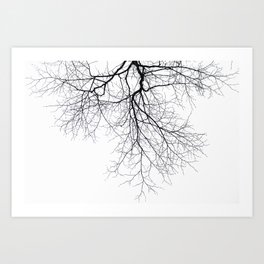 the roots Art Print | Nature, Abstract, Photo, Black and White 