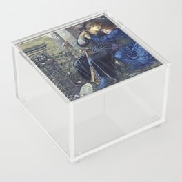 Edward Burne-Jones Love Among the Ruins Acrylic Box