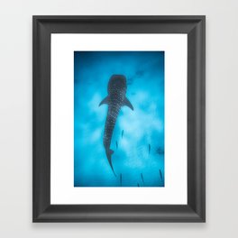 whale shark sand Botton Framed Art Print