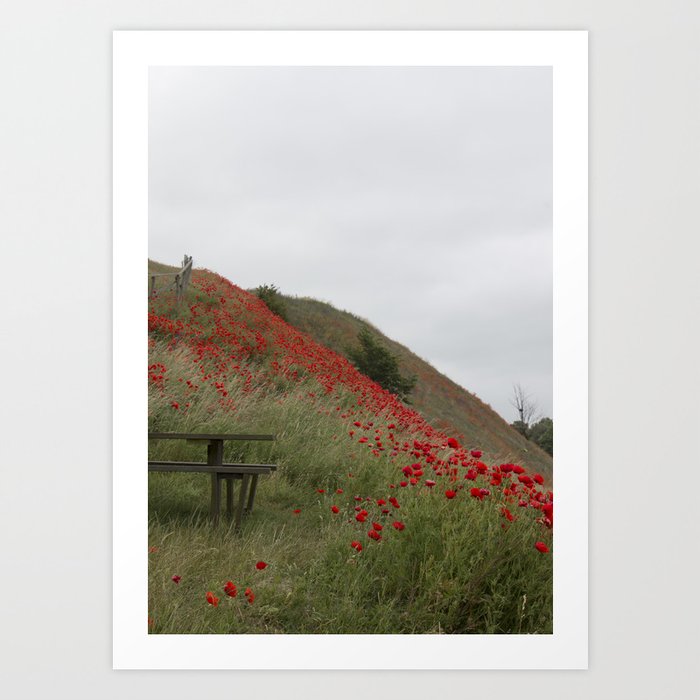 Hills of Poppies Art Print