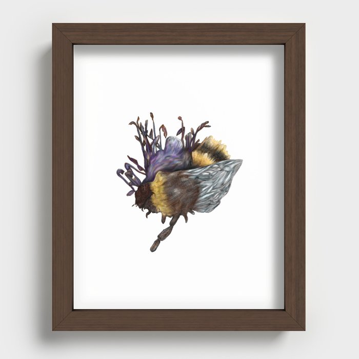 Bumblebee Recessed Framed Print