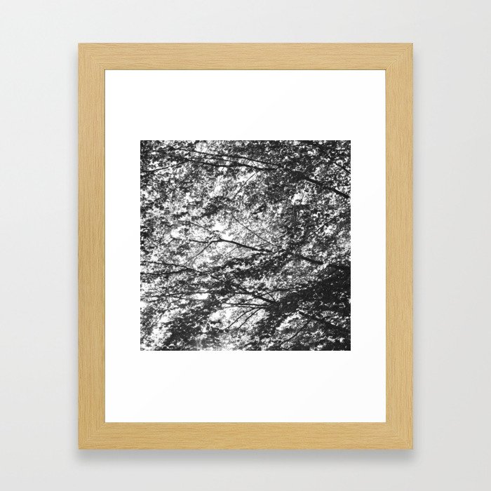 Leaves Framed Art Print