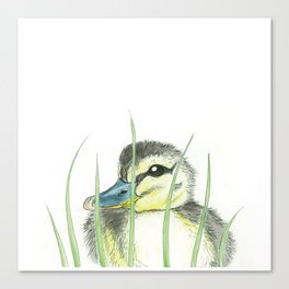 Peekaboo Baby Duck Canvas Print