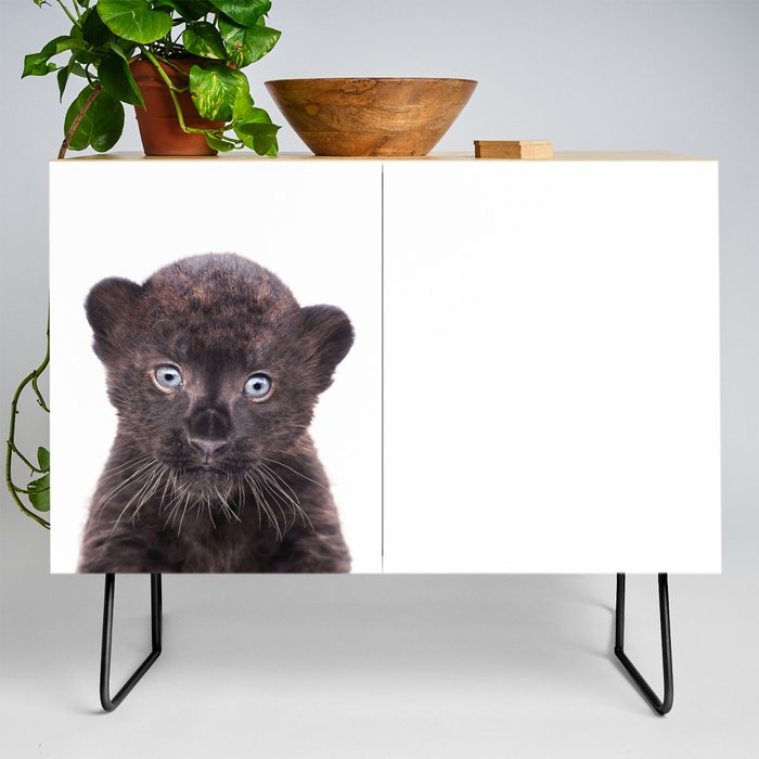Baby Panther, Panther Cub, Kids Art, Baby Animals Art Print By Synplus Credenza