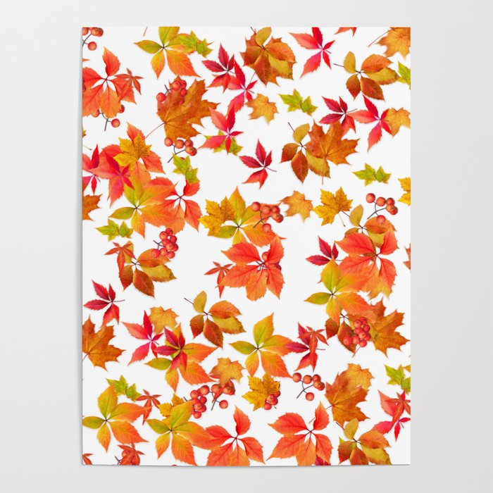 multicolored Autumn Leaves Falling  Poster