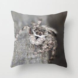 Jumping Spider Throw Pillow