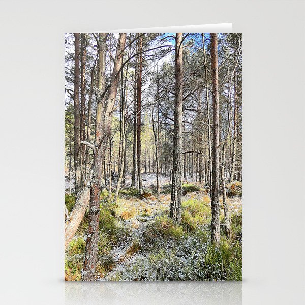 Scottish Highlands Spring Pine Forest Scene in  I Art and Afterglow Stationery Cards