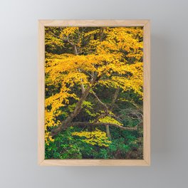 The Yellow Tree Framed Mini Art Print