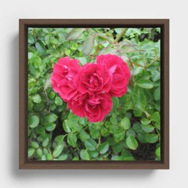 A heart to you  Framed Canvas