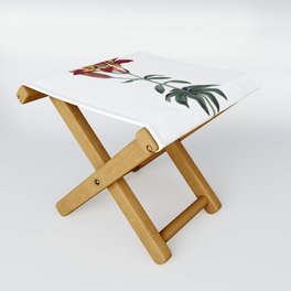 Philadelphian Lily (Lilium Philadelphicum) Folding Stool