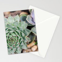 Mexico Photography - Common Houseleek In A Mexican Garden Stationery Card