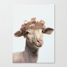 Sheep's night out Canvas Print