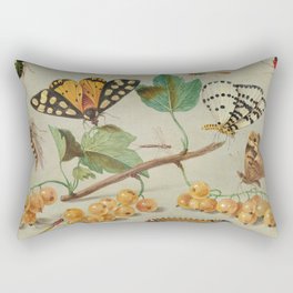 Study of Butterfly and Insects, 1655 by Jan van Kessel the Elder Rectangular Pillow