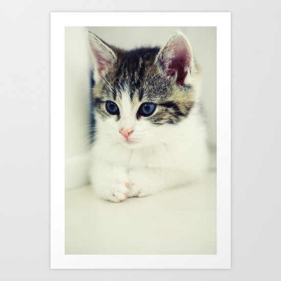 Cat Art Print