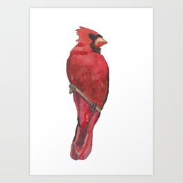 Red Watercolor Cardinal Art Print
