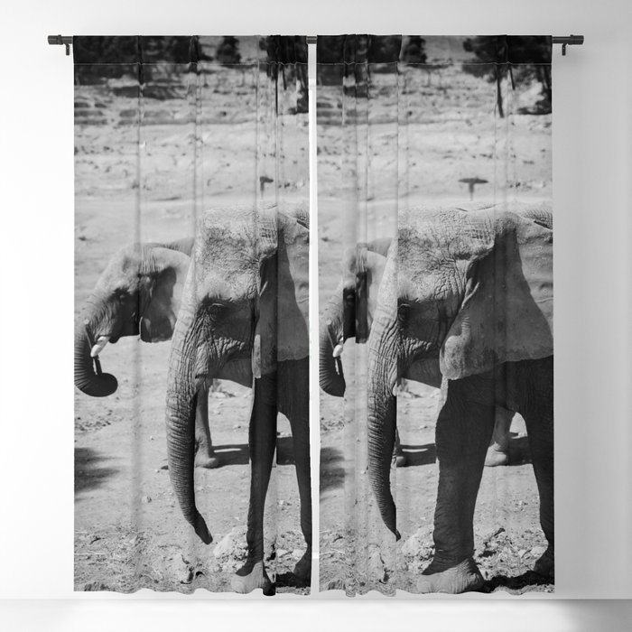 Elephant duo in black & white Blackout Curtain