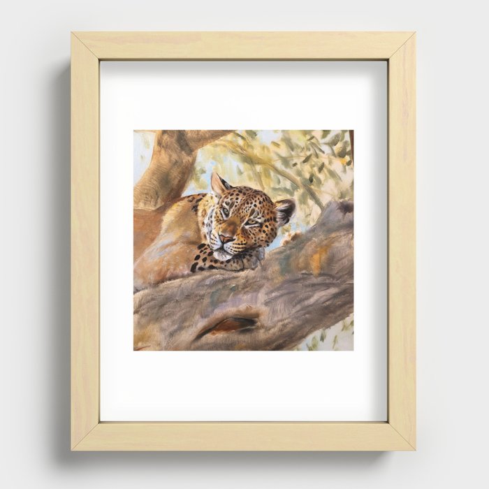 Tiger relaxing on a tree Recessed Framed Print