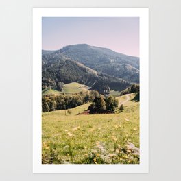Black Forest Germany - Schwarzwald Flower Meadow - Nature Mountain Photography Art Print