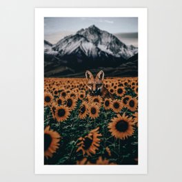 fox and sunflowers Art Print