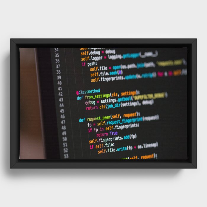 Program code  Framed Canvas