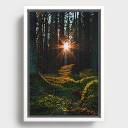 Sunlit Swedish Path Framed Canvas