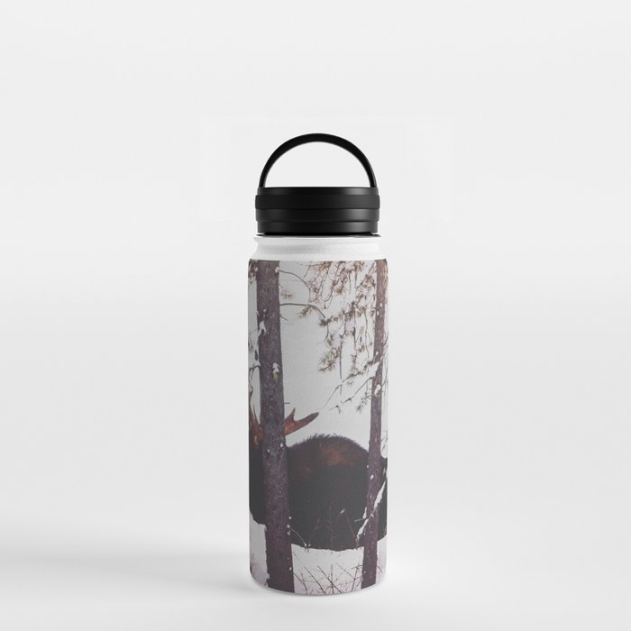 Yellowstone Moose Water Bottle
