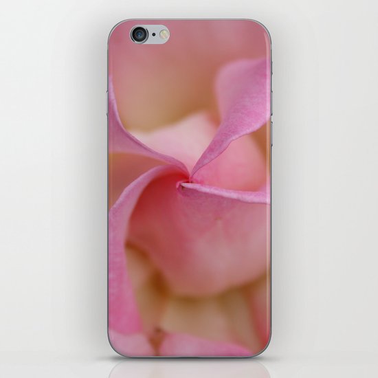 Pink Rose iPhone & iPod Skin