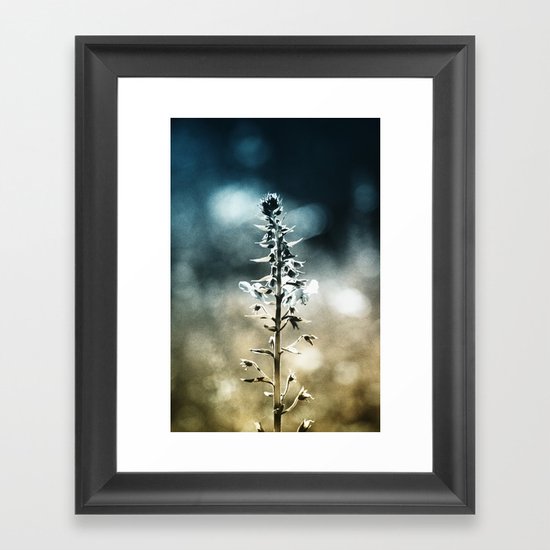 Ametrin Framed Art Print