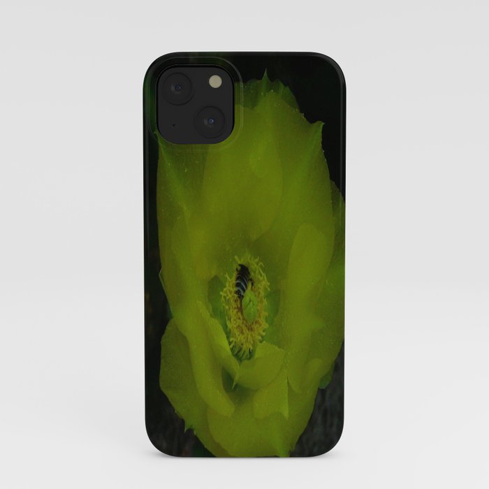 The Flower and the Bee iPhone Case