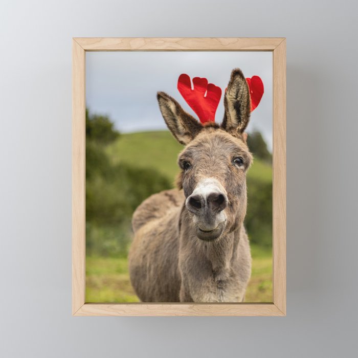 Christmas season, donkey with decoration, funny and cute animal. Framed Mini Art Print