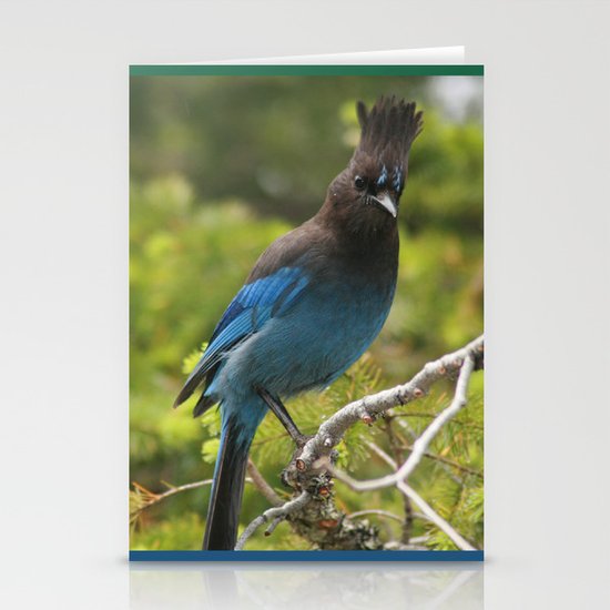 Pensive Stationery Cards