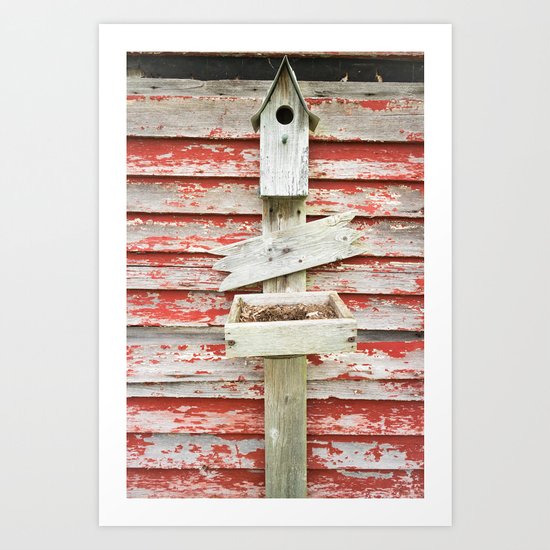 Rustic Birdhouse Art Print