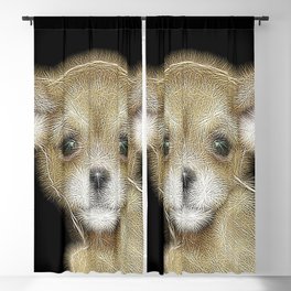 Spiked Brown Chihuahua Puppy Blackout Curtain