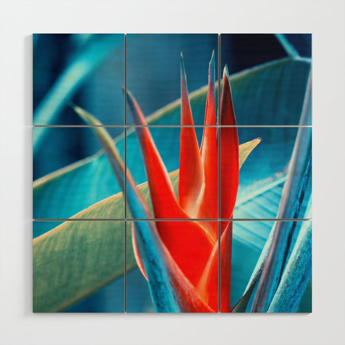 Helicon Flower Beauty In Red And Blue Wood Wall Art