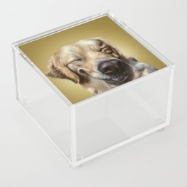 Smiling Golden Retriever Dog Acrylic Box